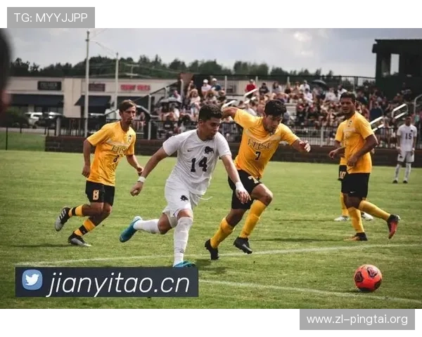 深入揭秘尊龙凯时足球的游戏互动性与社交体验